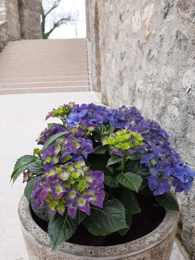 Vinica Castle Otel Dış mekan fotoğraf